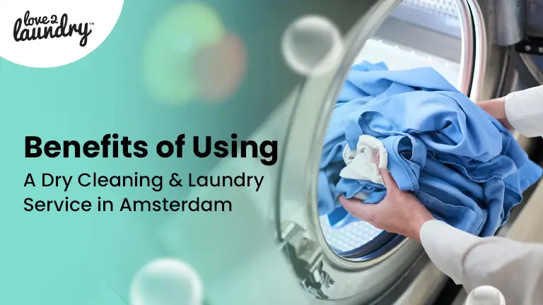 dry cleaning & laundry service