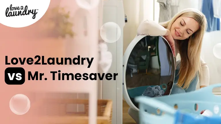 love2laundry vs mr. timesaver