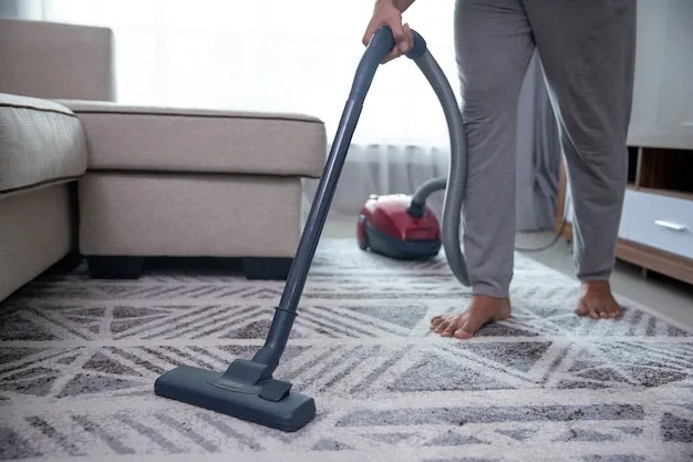 tips to keep your carpets fresh between professional cleanings